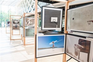 Winners of the second annual FIBA Photo Contest