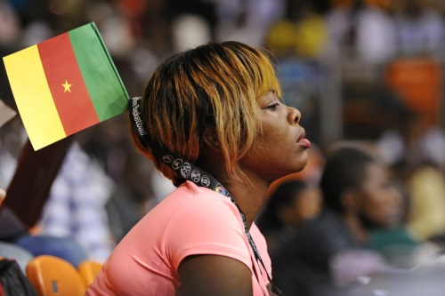 Fan (Cameroon)