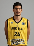 Profile image of Dionisis SKOULIDAS