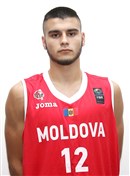 Profile image of Vadim RADUCAN