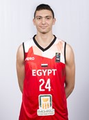 Profile image of Mohamed Reda Abdelkader ELSAYED