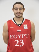 Profile image of Mohamed ABOUELNASR