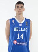 Profile image of Nikolaos TSOLAKIS