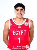 Profile image of Karim ELGIZAWY