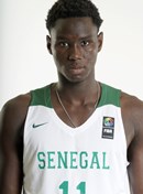 Profile image of BAYE ABDOU NDONGO
