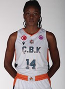 Profile image of Temi FAGBENLE