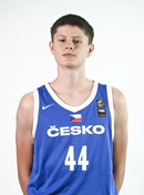 Headshot of Viktor Ivanek