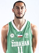 Profile image of Amir Ali GHOLIZADEH TOUSARANI