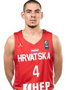Profile image of Dominik VUJANOVIC