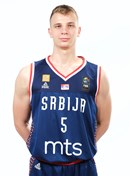 Profile image of Nikola PETOJEVIC