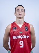 Profile image of Viktor HANZELY