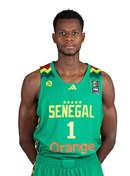 Profile image of Ousmane NDIAYE