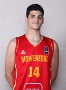 Profile image of Petar RAICKOVIC
