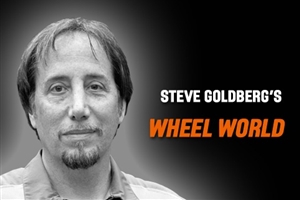 Steve-Goldberg-Column